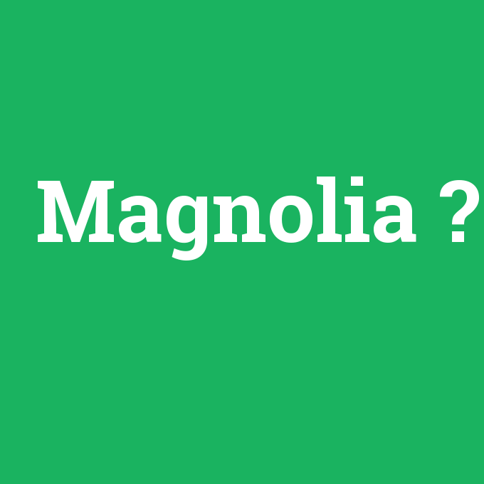 Magnolia, Magnolia nedir ,Magnolia ne demek