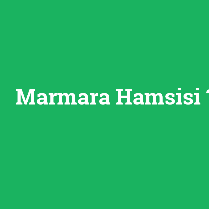 Marmara Hamsisi, Marmara Hamsisi nedir ,Marmara Hamsisi ne demek