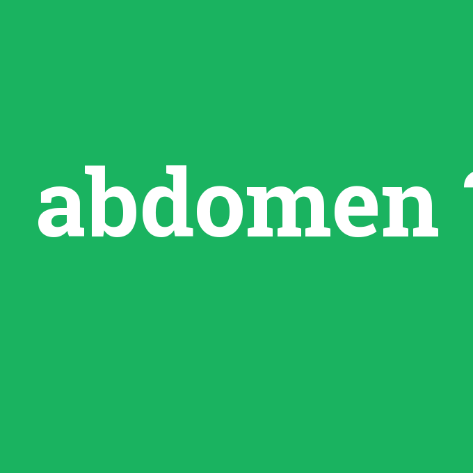 abdomen, abdomen nedir ,abdomen ne demek