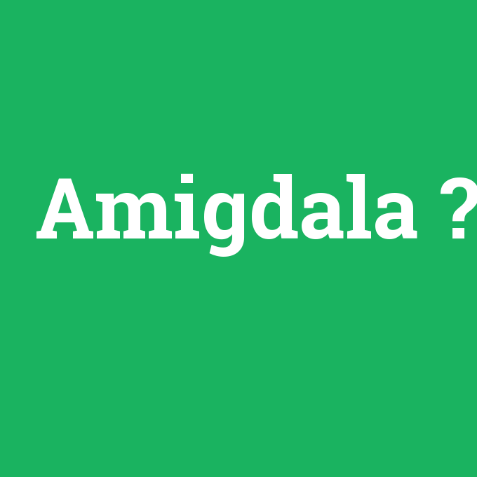 Amigdala, Amigdala nedir ,Amigdala ne demek