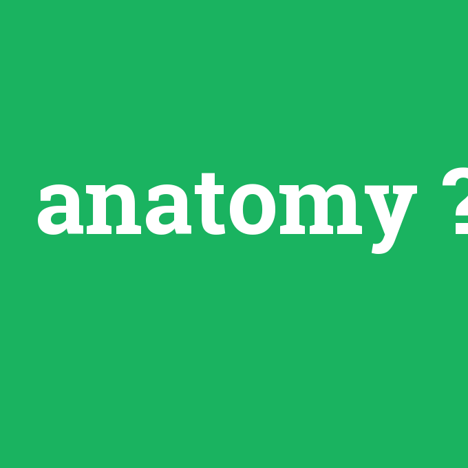anatomy, anatomy nedir ,anatomy ne demek