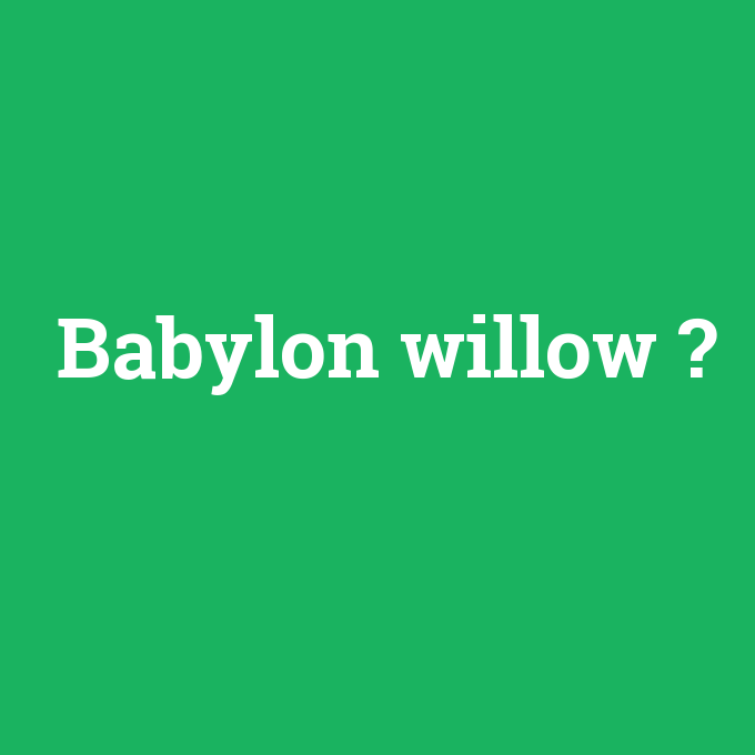 Babylon willow, Babylon willow nedir ,Babylon willow ne demek