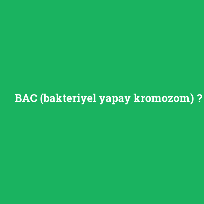 BAC (bakteriyel yapay kromozom), BAC (bakteriyel yapay kromozom) nedir ,BAC (bakteriyel yapay kromozom) ne demek
