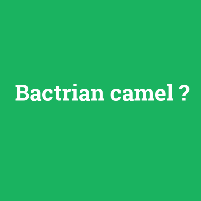 Bactrian camel, Bactrian camel nedir ,Bactrian camel ne demek