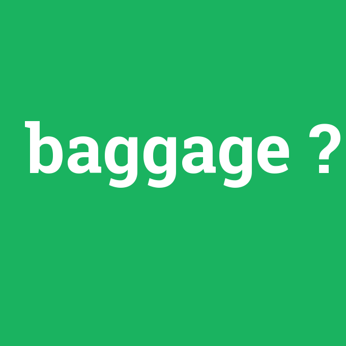 baggage, baggage nedir ,baggage ne demek