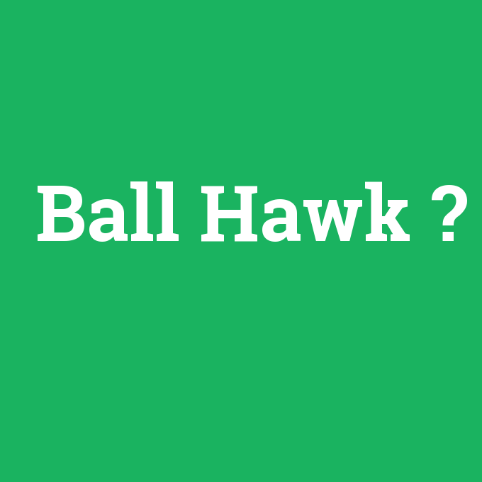 Ball Hawk, Ball Hawk nedir ,Ball Hawk ne demek