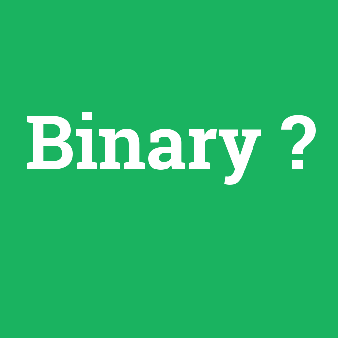Binary, Binary nedir ,Binary ne demek