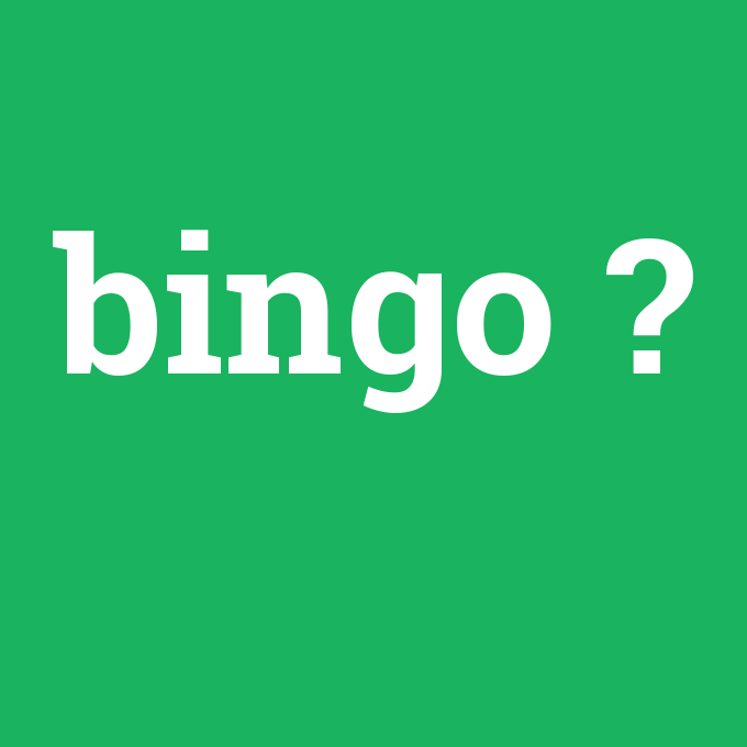 bingo, bingo nedir ,bingo ne demek