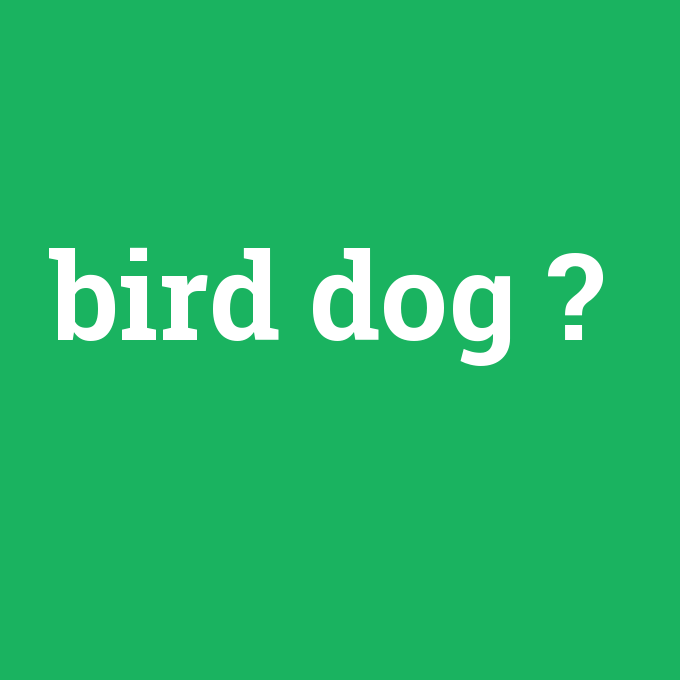 bird dog, bird dog nedir ,bird dog ne demek