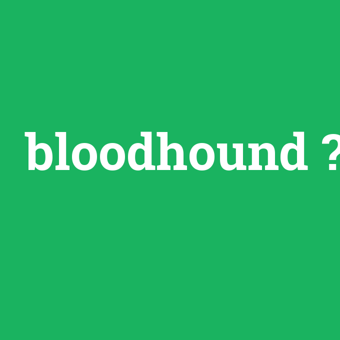 bloodhound, bloodhound nedir ,bloodhound ne demek