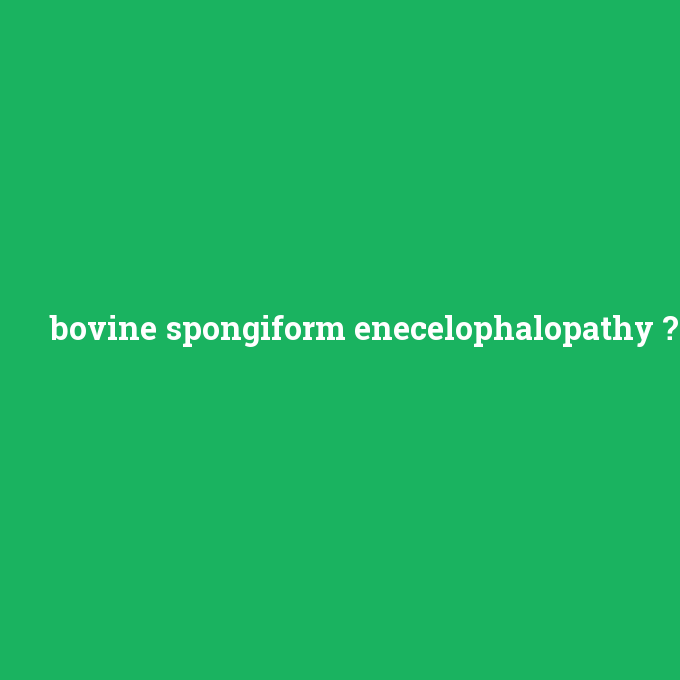 bovine spongiform enecelophalopathy, bovine spongiform enecelophalopathy nedir ,bovine spongiform enecelophalopathy ne demek