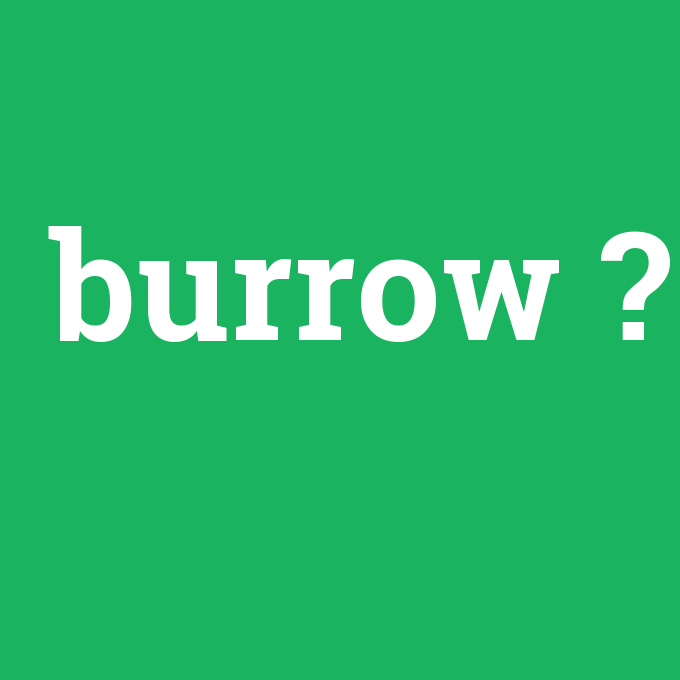 burrow, burrow nedir ,burrow ne demek