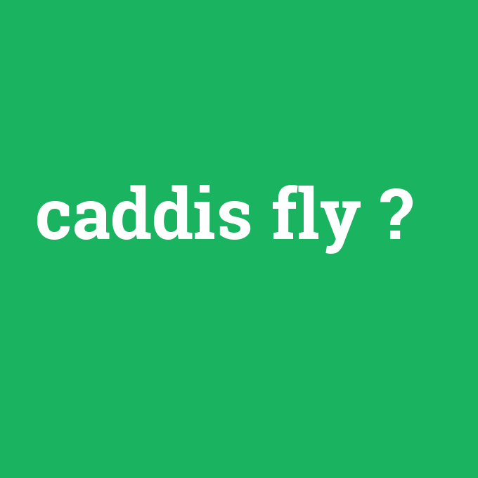 caddis fly, caddis fly nedir ,caddis fly ne demek