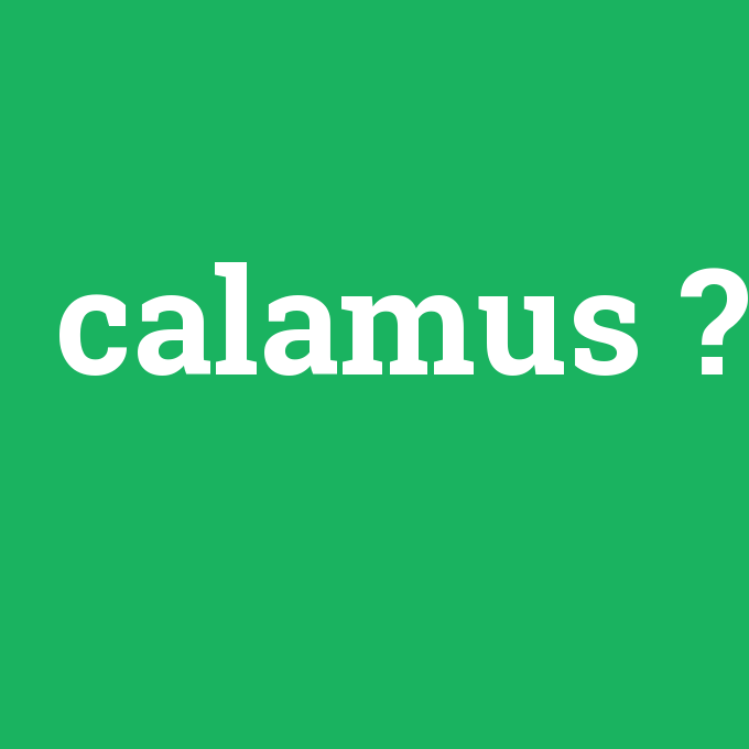 calamus, calamus nedir ,calamus ne demek