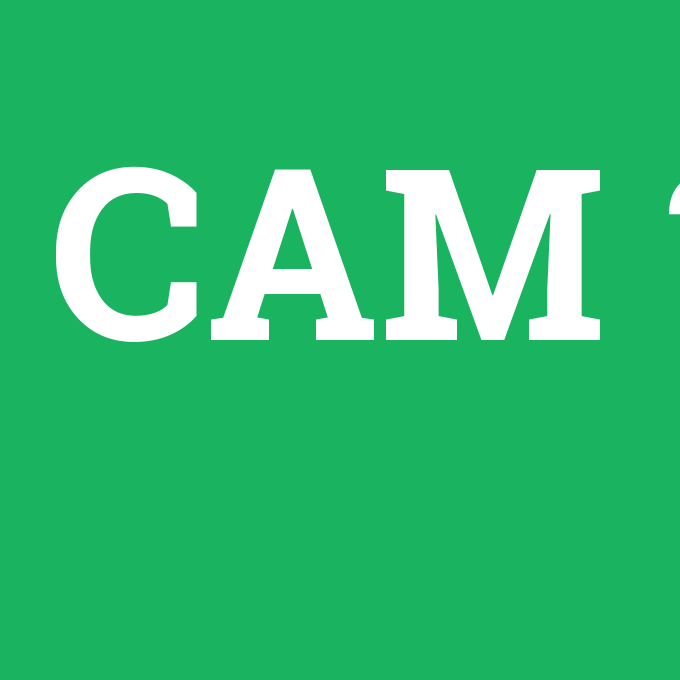 CAM, CAM nedir ,CAM ne demek