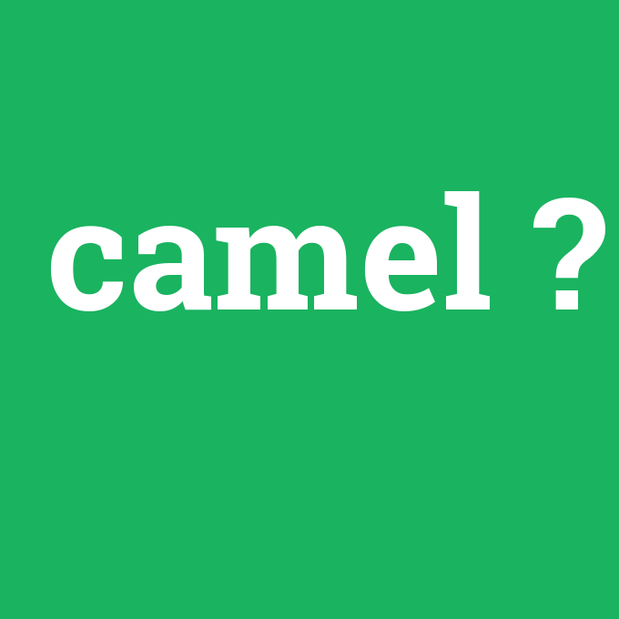 camel, camel nedir ,camel ne demek