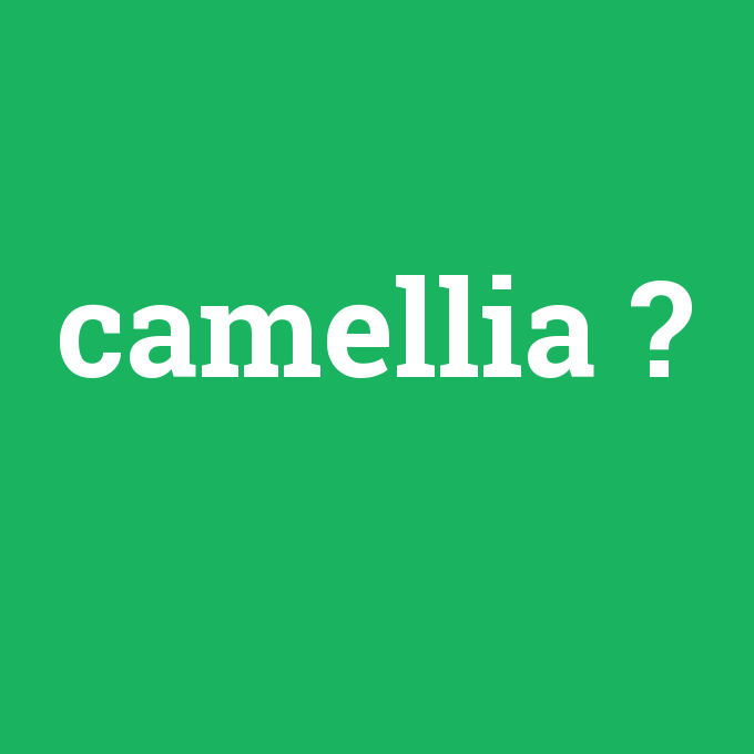 camellia, camellia nedir ,camellia ne demek