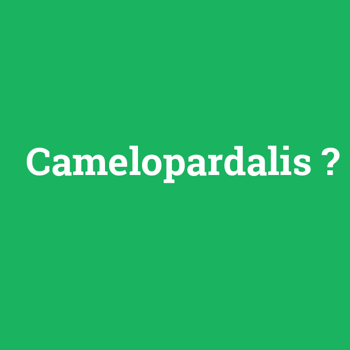 Camelopardalis, Camelopardalis nedir ,Camelopardalis ne demek