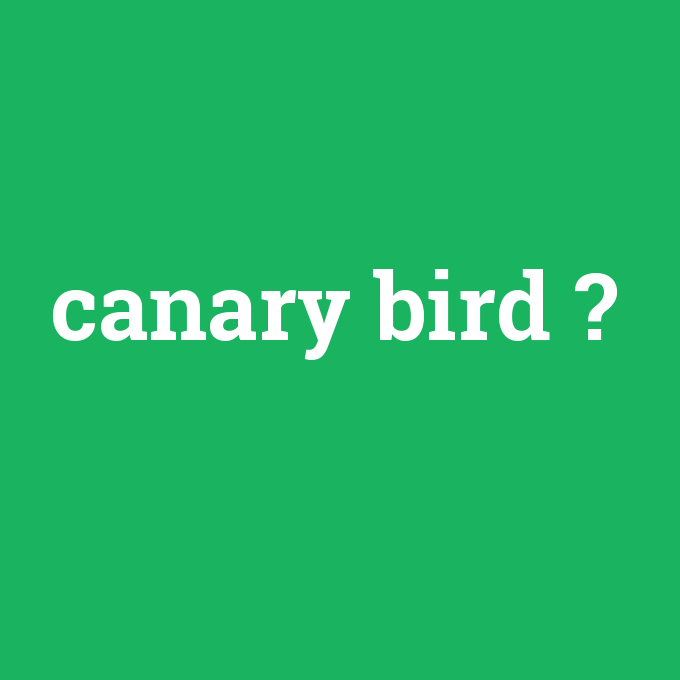 canary bird, canary bird nedir ,canary bird ne demek