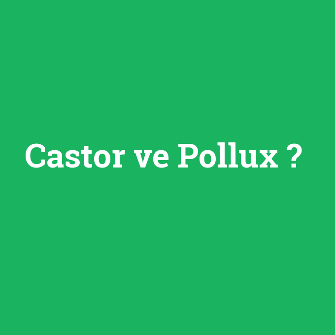 Castor ve Pollux, Castor ve Pollux nedir ,Castor ve Pollux ne demek