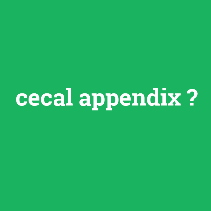 cecal appendix, cecal appendix nedir ,cecal appendix ne demek