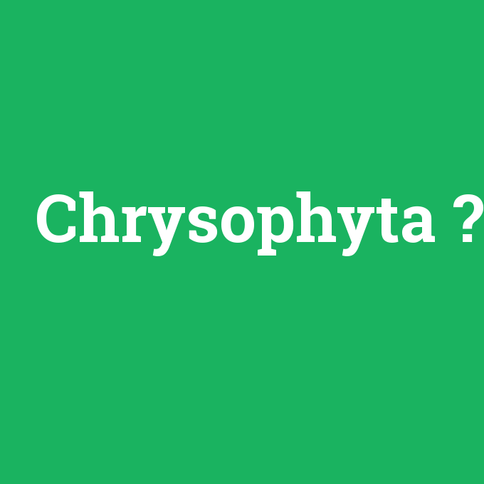 Chrysophyta, Chrysophyta nedir ,Chrysophyta ne demek
