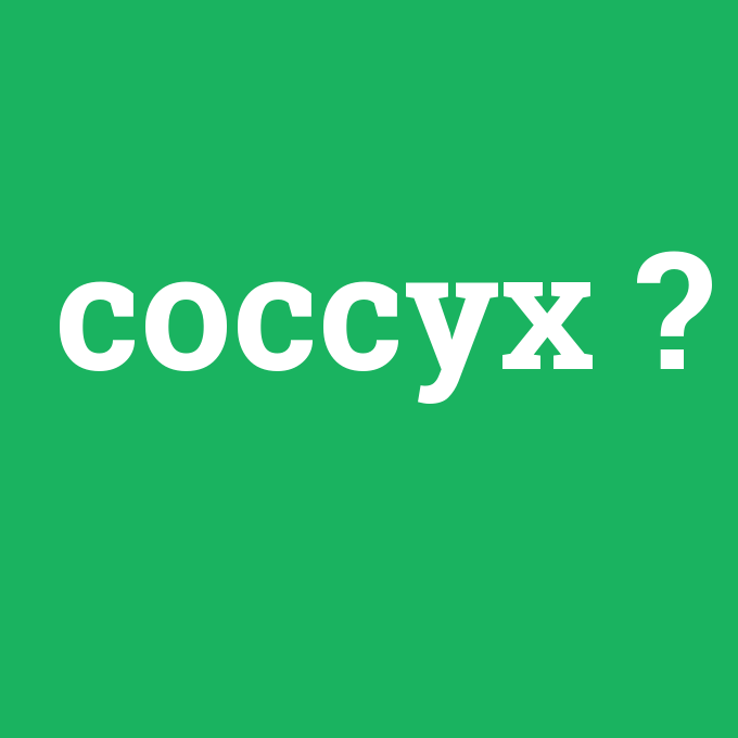 coccyx, coccyx nedir ,coccyx ne demek