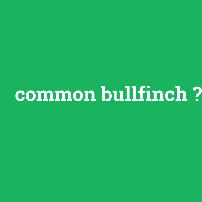 common bullfinch, common bullfinch nedir ,common bullfinch ne demek