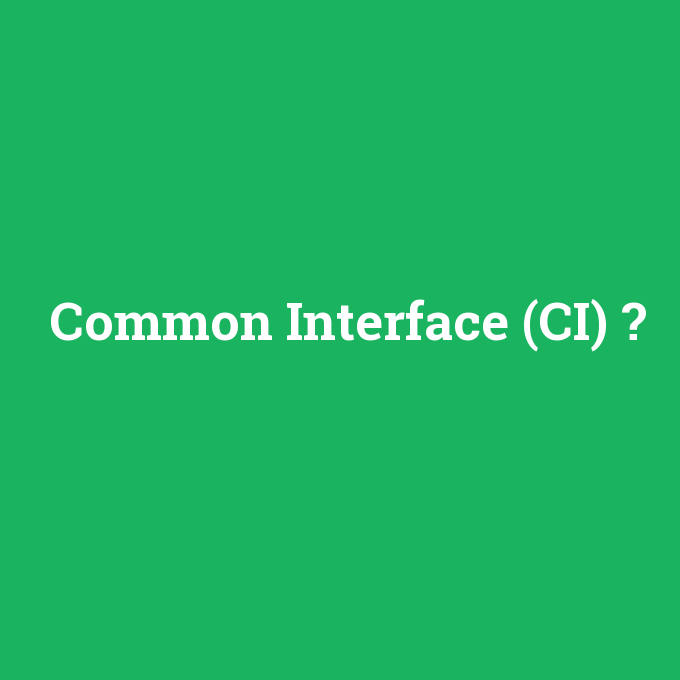 Common Interface (CI), Common Interface (CI) nedir ,Common Interface (CI) ne demek