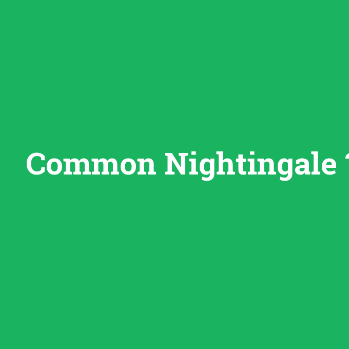 Common Nightingale, Common Nightingale nedir ,Common Nightingale ne demek