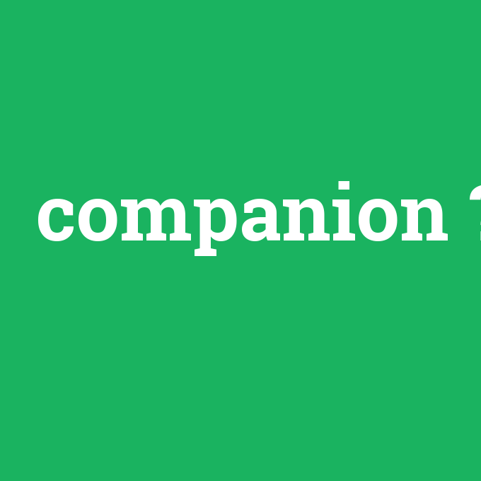 companion, companion nedir ,companion ne demek