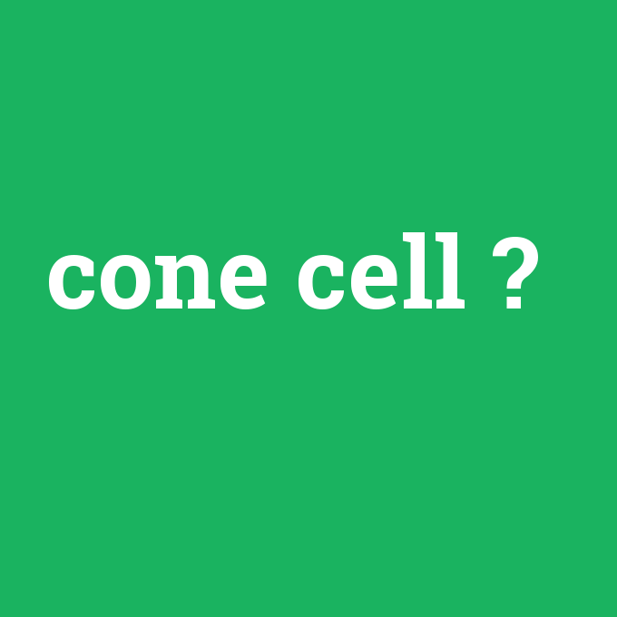 cone cell, cone cell nedir ,cone cell ne demek