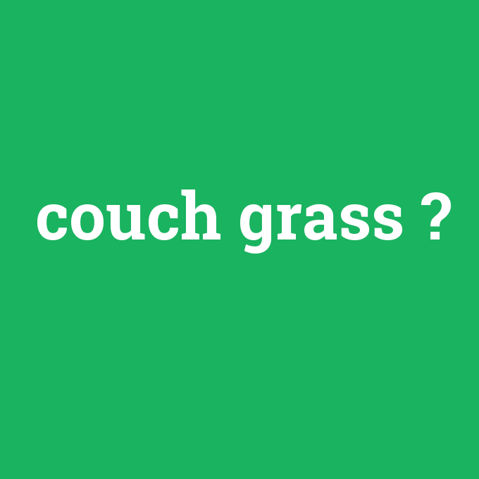 couch grass, couch grass nedir ,couch grass ne demek