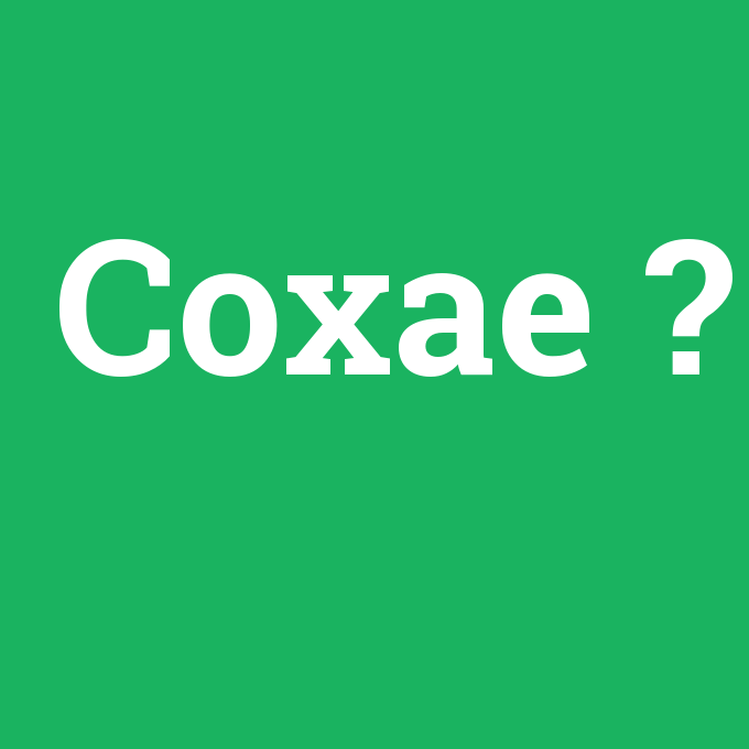 Coxae, Coxae nedir ,Coxae ne demek