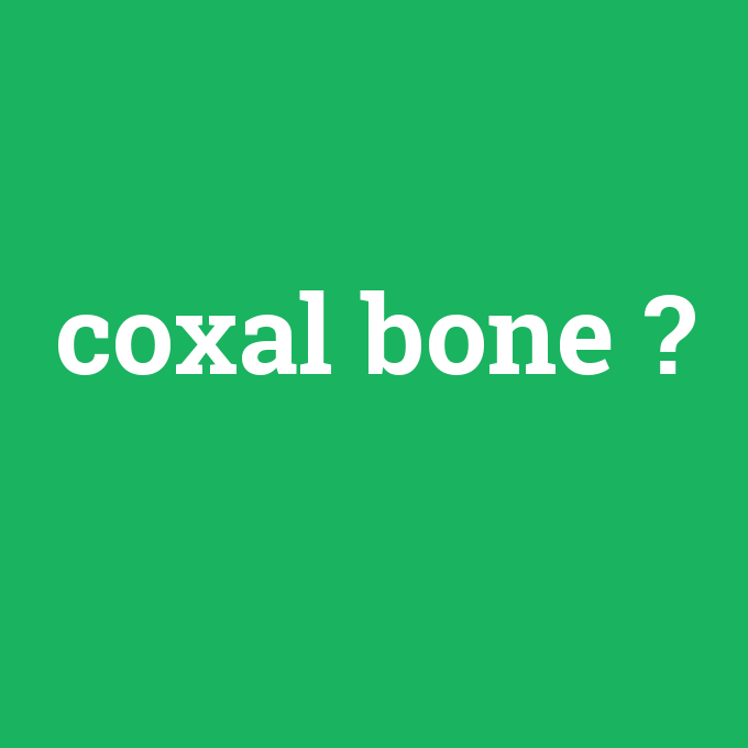 coxal bone, coxal bone nedir ,coxal bone ne demek