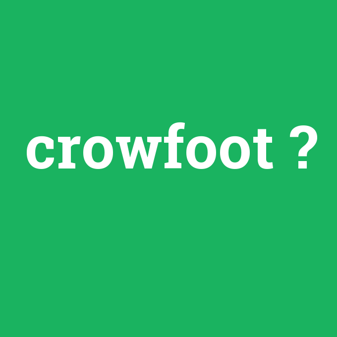 crowfoot, crowfoot nedir ,crowfoot ne demek