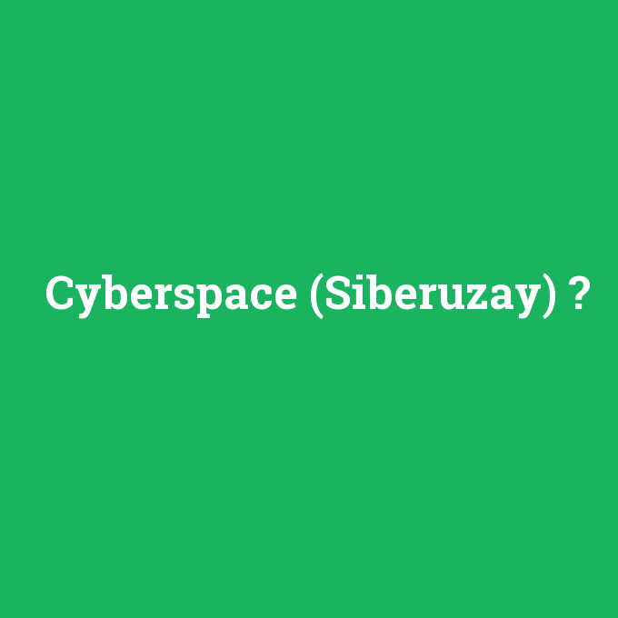 Cyberspace (Siberuzay), Cyberspace (Siberuzay) nedir ,Cyberspace (Siberuzay) ne demek