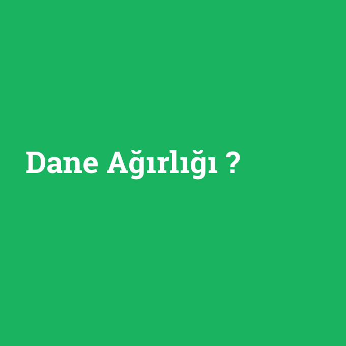 Dane Ağırlığı, Dane Ağırlığı nedir ,Dane Ağırlığı ne demek