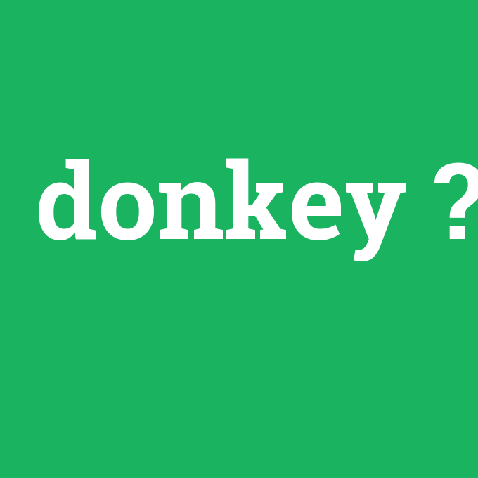 donkey, donkey nedir ,donkey ne demek