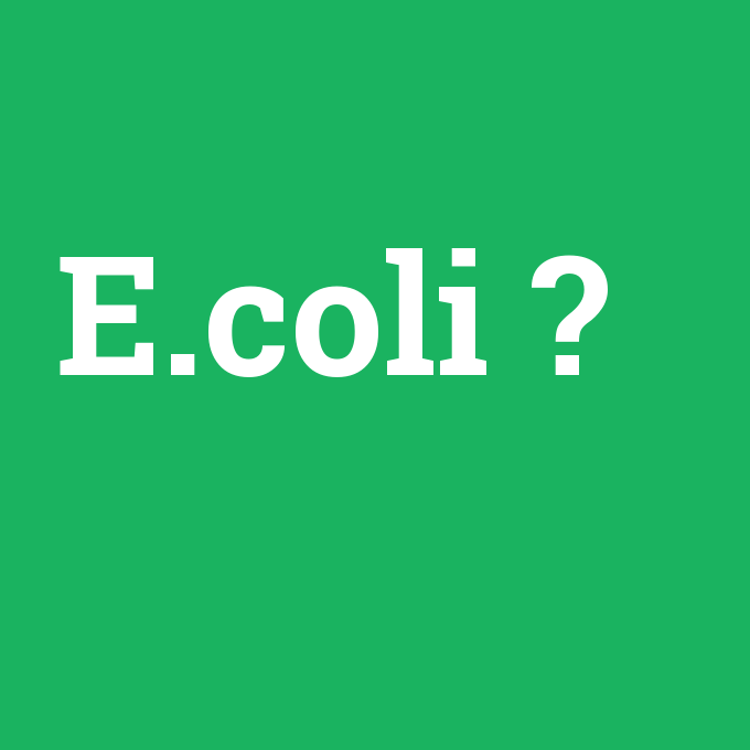 E.coli, E.coli nedir ,E.coli ne demek
