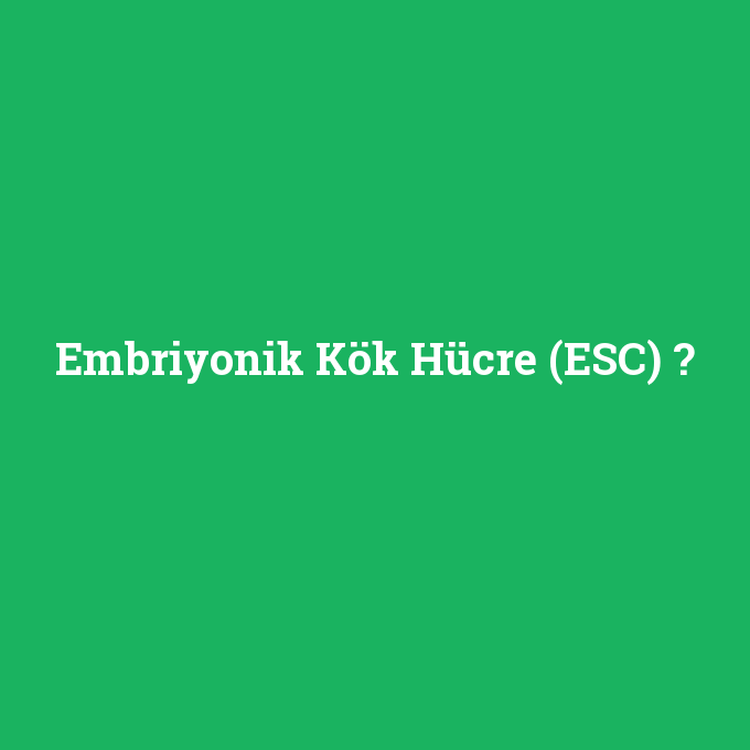 Embriyonik Kök Hücre (ESC), Embriyonik Kök Hücre (ESC) nedir ,Embriyonik Kök Hücre (ESC) ne demek