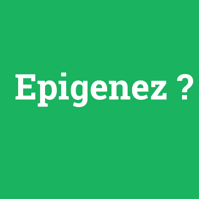 Epigenez, Epigenez nedir ,Epigenez ne demek