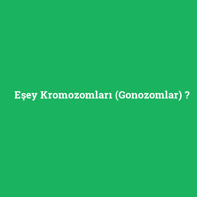 Eşey Kromozomları (Gonozomlar), Eşey Kromozomları (Gonozomlar) nedir ,Eşey Kromozomları (Gonozomlar) ne demek