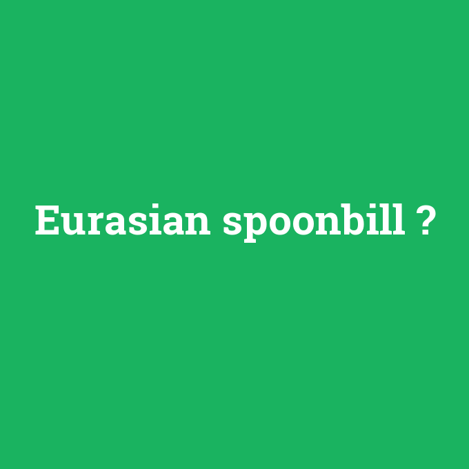 Eurasian spoonbill, Eurasian spoonbill nedir ,Eurasian spoonbill ne demek
