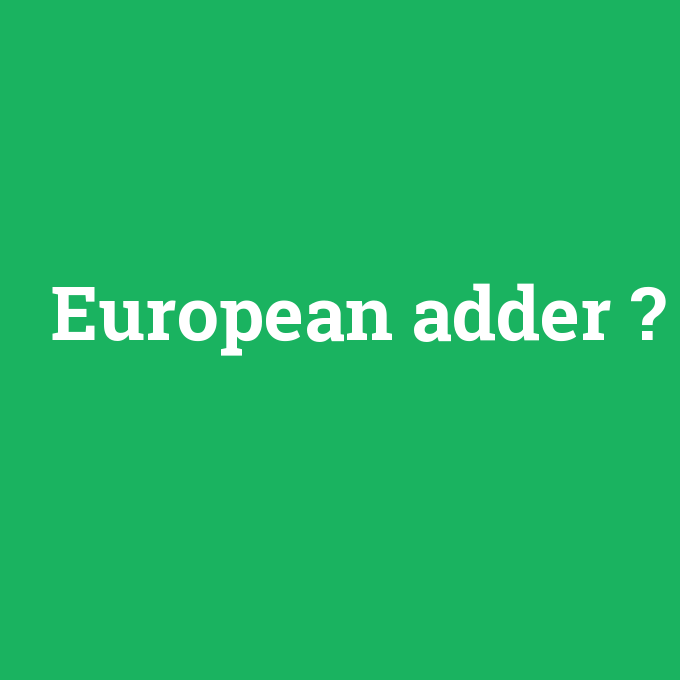European adder, European adder nedir ,European adder ne demek