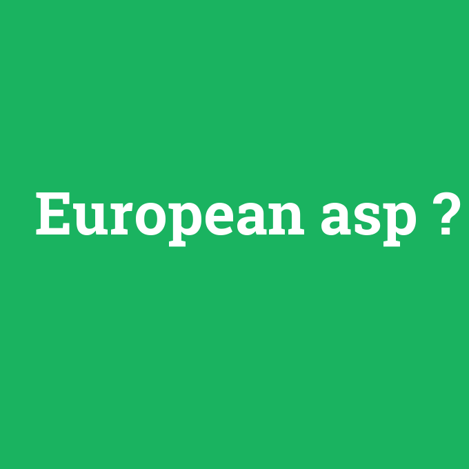 European asp, European asp nedir ,European asp ne demek