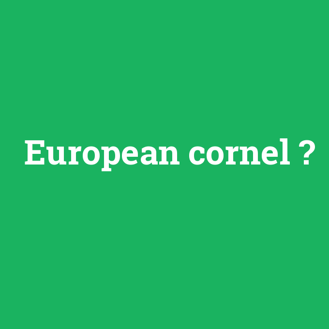 European cornel, European cornel nedir ,European cornel ne demek