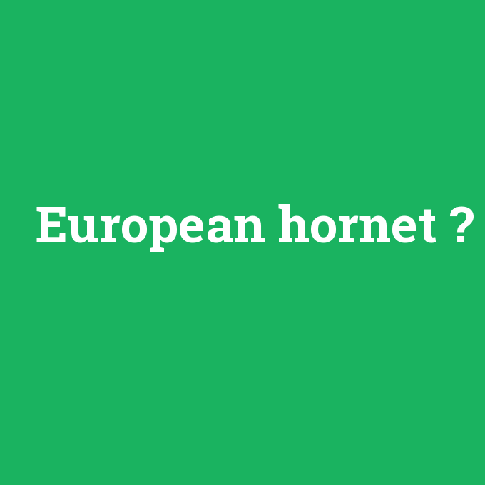 European hornet, European hornet nedir ,European hornet ne demek