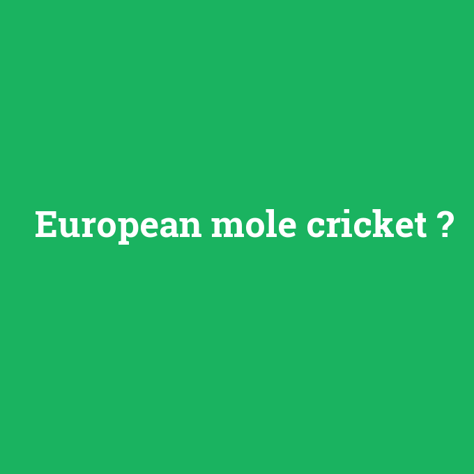 European mole cricket, European mole cricket nedir ,European mole cricket ne demek