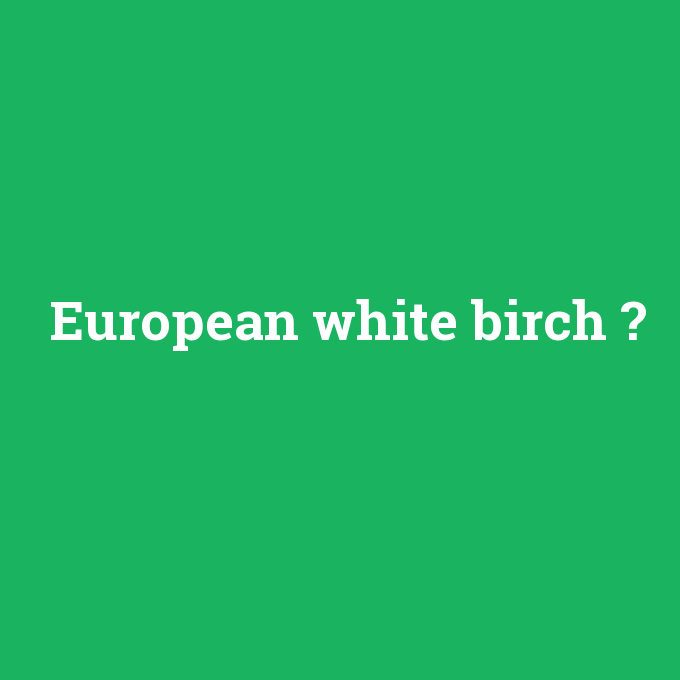 European white birch, European white birch nedir ,European white birch ne demek